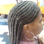 Adult Box Braids. Medium size