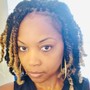 Natural Hair 2-Strand Twists (Small)