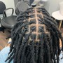 Comb Twist/won’t become starter locs