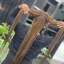 Men's Twist or Box Braids (Full Head)