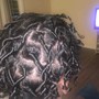 Two strand twist Starter Locs