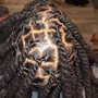 Large Butterfly Locs