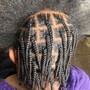 Kid's Braids