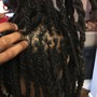 Root Touch Up