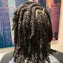 Two Strand Twists