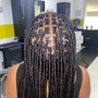 Individual Braids