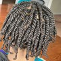 Men's Clarifying Wash/Twists