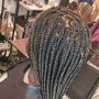 Medium size Boxbraids Mid-back