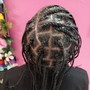 Individual Braids