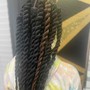 Loc Coils