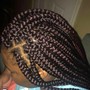 Poetic Justice Braids