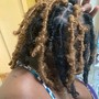 Loc Coils / starter locs