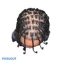 Individual Braids