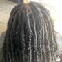 Butterfly Locs (kids)