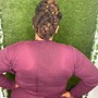 Feed- in ponytail/Bun