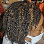 Starter locs for long hair + detox shampoo+ dry time