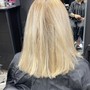 Bleach Root Touch Up