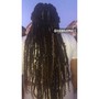 Starter locs