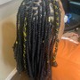 Starter Locs (long, coils)