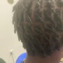 Starter Locs