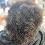 Root Touch Up