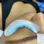 Mega Volume Lash Extensions: Fill