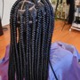 Box Braids-small