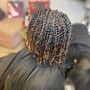 Natural Twists