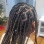 Lower back braids