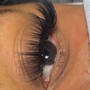 THE LASH MEMBERSHIP