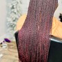 Senegalese  Twist large