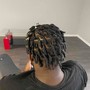 Starter Locs ( 2 strand) short hair