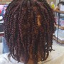 2 strand twists