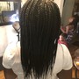 Senegalese’s  small  mid back twist