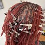 Starter locs