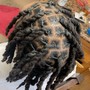 Natural Coils/starter locs