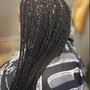 Box Braids (large)hair not included