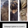 Babylights Balayage/Ombre