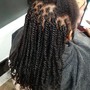 Sisterlocks                                                       Interlocking