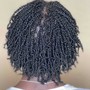 Natural  Hair Detangling