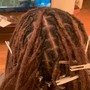 Starter Locs