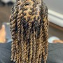 Starter locs