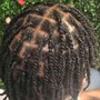 Poetic Justice Braids