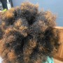 Natural Twists