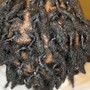 Dreadlock Retwist