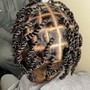 Tree Braids