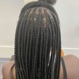 Goddess Braids ( crochet)