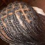 Island Twist (Small)