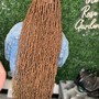 Shoulder length textured locs