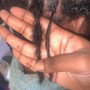 Kids start loc Natural Twists